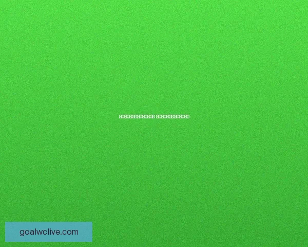 世界杯体育竞猜网站全方位攻略 轻松玩转投注技巧与赛事分析