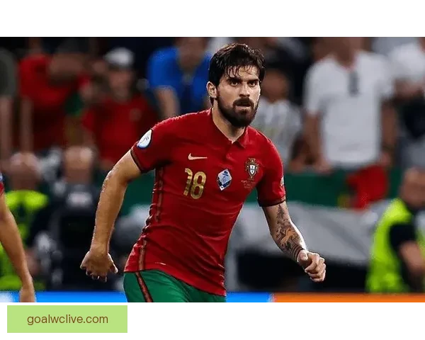 世界杯买球技巧全解析，助你精准预测提升胜率攻略