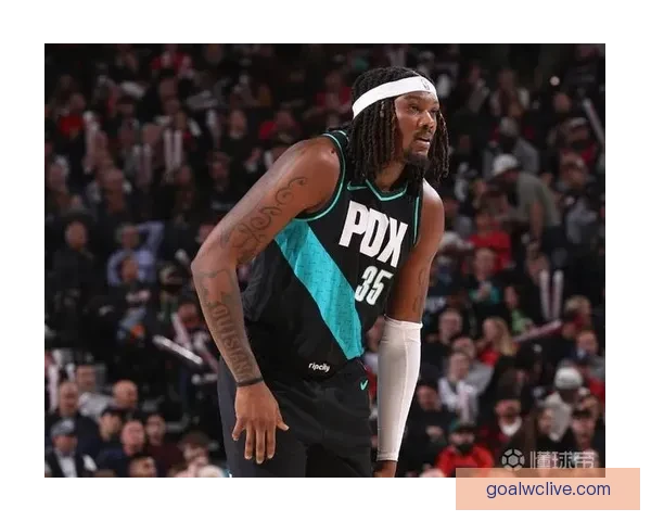 望无大碍 开拓者官方宣布罗威因下背部伤势退出比赛不会回归 望无大碍 开拓者官方宣布罗威因下背部伤势退出比赛不会回归