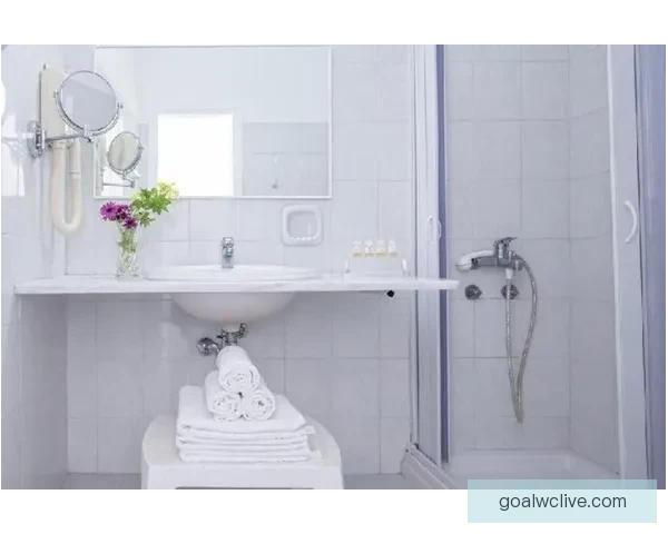 拉齐奥对阵帕尔马直播焦点诺斯林强势回应德尔普拉托全场实时动态追踪