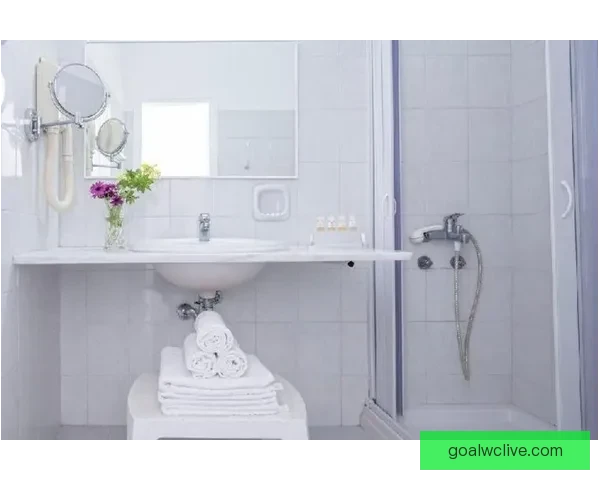 拉齐奥对阵帕尔马直播焦点诺斯林强势回应德尔普拉托全场实时动态追踪