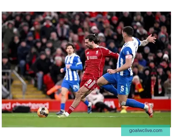 利物浦崩盘让人失望 欧冠决赛梦想几近荒唐