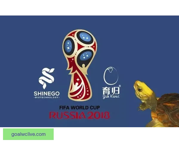 世界杯体育竞猜盘口解析与投注技巧全攻略分享